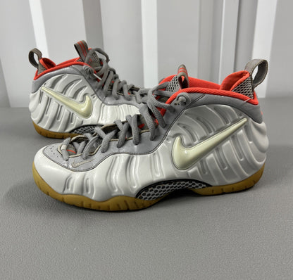Size 11 - Nike Air Foamposite Pro Premium Pure Platinum