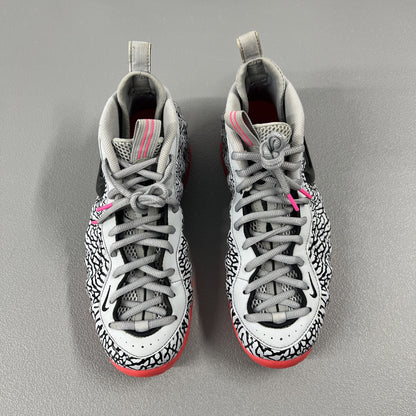 Size 10.5- Nike Air Foamposite Pro Elephant Print