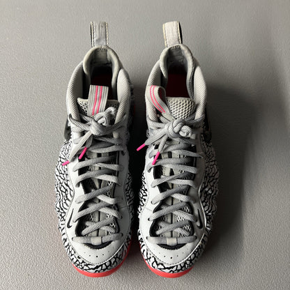 Size 10.5 - Nike Air Foamposite Pro PRM ‘Elephant Print’