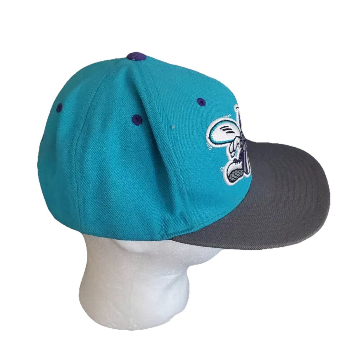 Mitchell & Ness Charlotte Hornets SnapBack