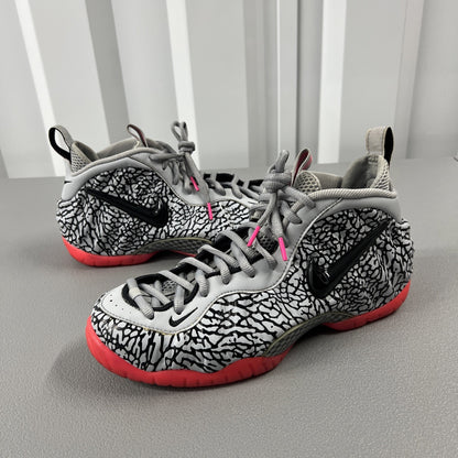 Size 10.5- Nike Air Foamposite Pro Elephant Print
