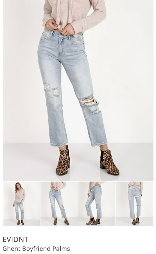 Anthropologie EVIDNT Los Angeles Ghent Boyfriend Palms Size 26 Jeans