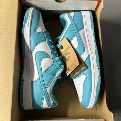 Size 11.5 Women’s or 10 Men’s- Nike Dunk Next Nature Low Dusty Cactus (Wmns)